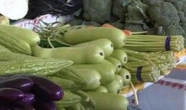 富家带凳吃瓜,尽显奢华生活态度