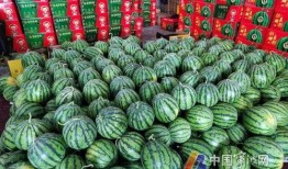 国贸大裤衩吃瓜,揭秘网红吃瓜背后的故事