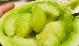 武邑吃玉菇瓜,玉菇瓜的独特风味之旅