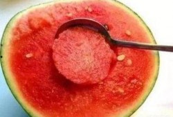 别人吃很甜的瓜我觉得苦,品味人生百态