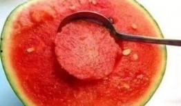 别人吃很甜的瓜我觉得苦,品味人生百态