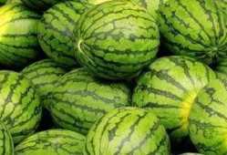 清远吃瓜,揭秘当地特色美食背后的故事