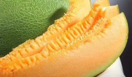 新疆民歌 吃蜜瓜,品鉴“吃蜜瓜”的韵味