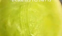 蜜瓜可以冷冻吃吗,冰凉口感，美味依旧