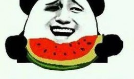 吃瓜就行,吃瓜群众视角下的娱乐圈风云