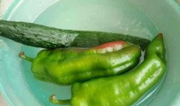 吃瓜影视片,揭秘娱乐圈幕后故事