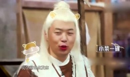 吃瓜神探价格,探寻美食背后的故事