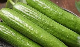 吃瓜对女人的好处,女性健康生活的秘密武器