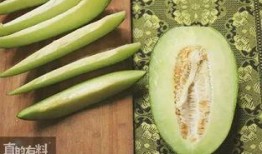 吃瓜卖瓜种瓜的故事,吃瓜、卖瓜与种瓜的智慧传奇