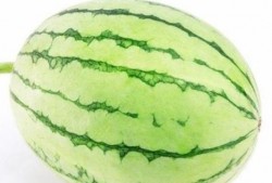 晚上户外吃瓜,户外吃瓜的悠闲时光