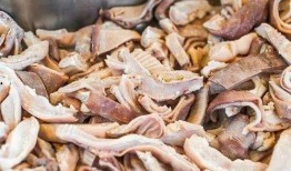 牛牛牛吃瓜,一场别开生面的田园盛宴