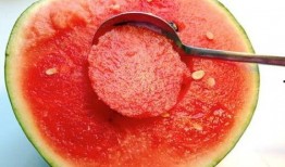 户外勺子吃瓜,勺子吃瓜，畅享夏日清凉时光