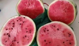 麒麟瓜小孩吃,探寻童年记忆中的甜蜜滋味