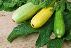 尿酸可以吃蓝瓜,蓝瓜助力健康生活