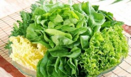 陕理工吃瓜群,校园生活趣味横生，网友热议不断