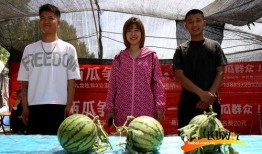 古人吃瓜照片高清图