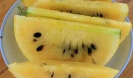 豆瓣 吃瓜画饼基地,揭秘网络热议背后的趣味与思考