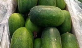 吃瓜别忘卖瓜人,人生哲理与智慧