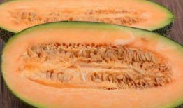 吃拉肚子药能吃哈密瓜吗,哈密瓜可食用吗？营养与注意事项解析