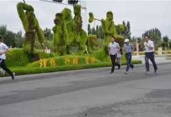 全民健身吃瓜,揭秘运动与休闲的完美融合