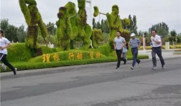 全民健身吃瓜,揭秘运动与休闲的完美融合