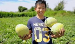 回乡吃瓜,品味家乡味道，感受乡愁情怀