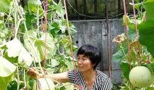 吃瓜即墨,探寻美食背后的故事与风情