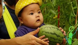 成长吃瓜,青少年心理成长记