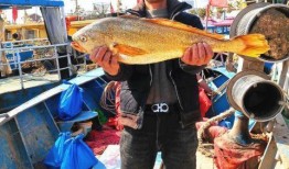 渔民围观吃瓜视频下载,揭秘海上奇观背后的故事