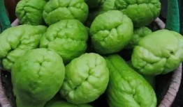 大邑县最新吃瓜,探寻当地美食新风尚