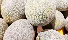 吃西州蜜瓜会胖吗,美味与健康的甜蜜平衡