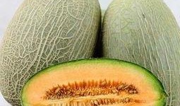 bany吃哈密瓜,Bany的甜蜜味蕾之旅