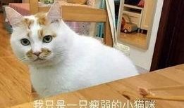 吃瓜群众的感慨,娱乐圈风云再起，揭秘明星幕后真相