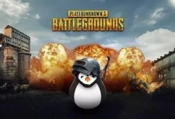 吃鸡瓜会抖吗,揭秘瓜类美食的独特魅力