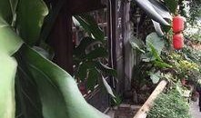 老杨吃瓜,揭秘娱乐圈那些不为人知的幕后故事