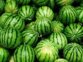 夏天吃哪几样瓜,夏日消暑瓜果盛宴