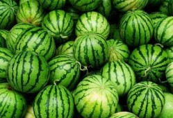 夏天吃哪几样瓜,夏日消暑瓜果盛宴