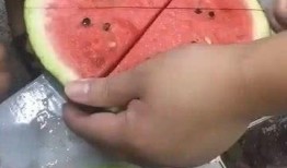 借东西吃瓜,一场别开生面的“吃瓜”之旅