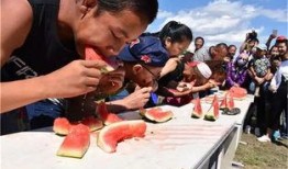 旅行家吃瓜比赛,旅行家挑战全球吃瓜大赛，舌尖上的世界之旅