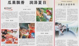 吃瓜网瓜报,揭秘娱乐圈最新热点事件