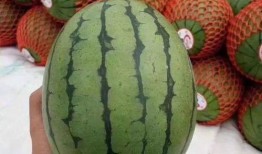 mr聊天吃瓜,揭秘娱乐圈幕后故事