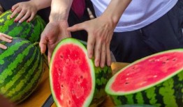 北岸私校吃瓜,一场吃瓜群众的校园大戏