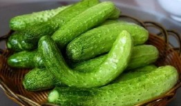 bbb吃瓜,一场网络热议背后的真相与反思