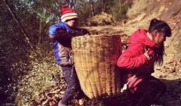 甘肃媳妇挑水吃瓜视频,见证农村生活的真实写照