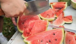 每天吃同学的瓜,揭秘校园里的甜蜜秘密