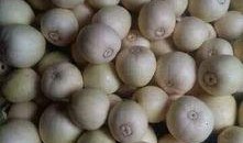 邢台吃瓜网,揭秘邢台美食背后的故事与传奇