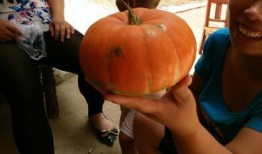 巴布吃瓜,一场夏日里的欢乐盛宴