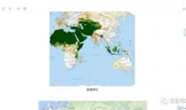 吃瓜岱中岱,一场别开生面的网络狂欢