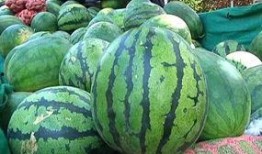 吃瓜看事,吃瓜群众视角下的时事风云