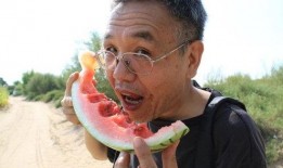 奇葩衣服带你吃瓜,跟随奇葩衣服探寻吃瓜乐趣